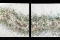 cambiamento-climatico